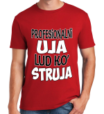 PROFESIONALNI UJA LUD KO STRUJA - Slika 3