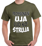 PROFESIONALNI UJA LUD KO STRUJA